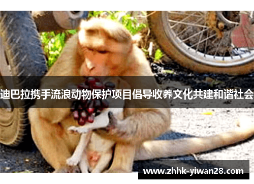 迪巴拉携手流浪动物保护项目倡导收养文化共建和谐社会